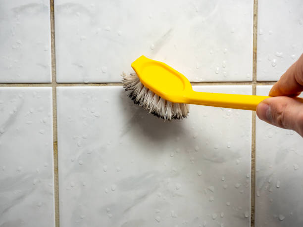 Best Mold Testing  in Arapahoe, NE