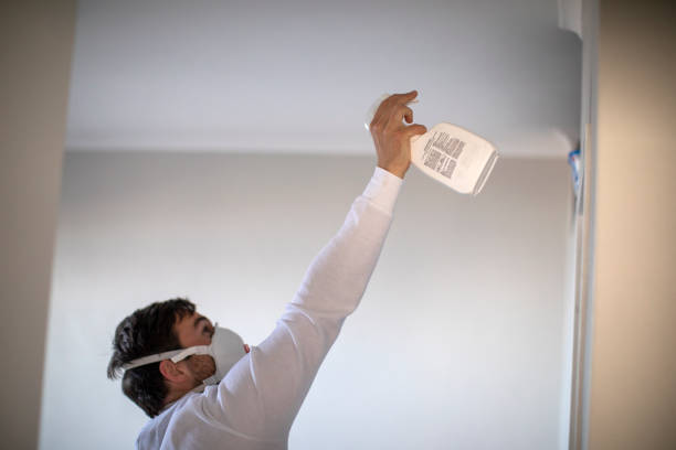 Best Mold Damage Repair  in Arapahoe, NE