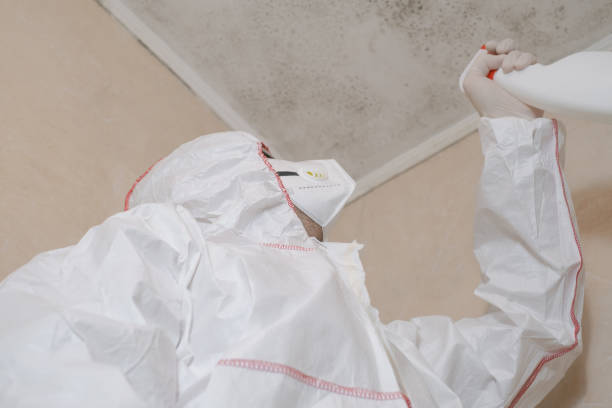 Best Local Mold Removal Service  in Arapahoe, NE